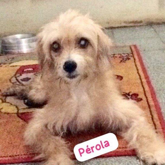 Pérola